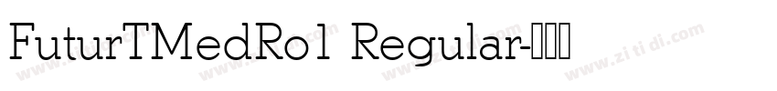 FuturTMedRo1 Regular字体转换 FuturTMedRo1 Regular字体转换